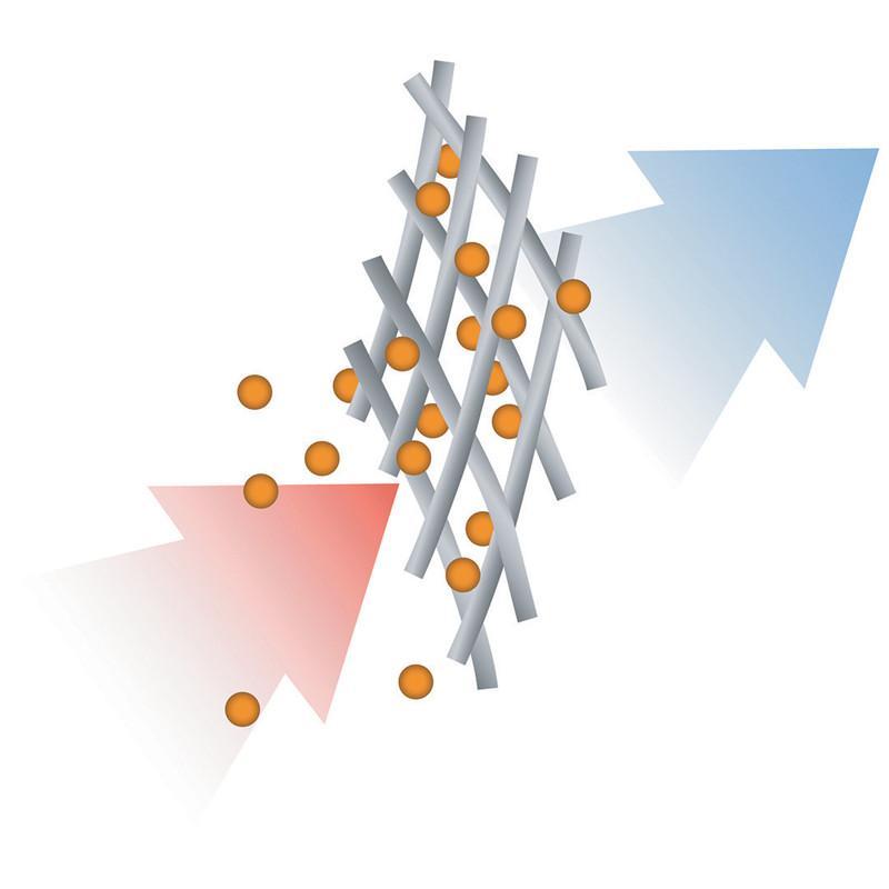 sebo-dart-2 (11).jpg